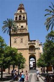 Catedral de Córdoba, corazón de la Diócesis